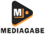 play logo