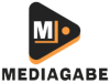 play logo